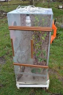 Vybavená terária 96x44x44